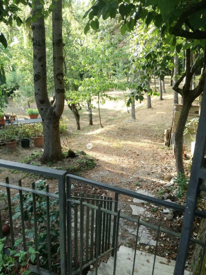 Casa Della Nonna Daire Radicofani Dış mekan fotoğraf